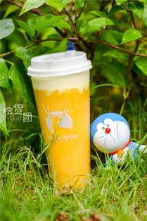 火爆全福州的小鹿茶測評來了！一口氣喝了5杯，你的夏日飲品要更新了